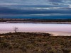 Pink-Lake