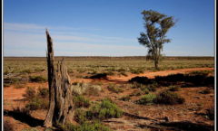 Murray Sunset NP Easter