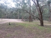 Naarun Camp Site 3