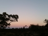 20140913_182533