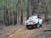 Tallarook State Forest