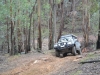 Tallarook State Forest