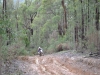 Tallarook State Forest