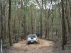 Tallarook State Forest