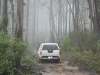 Tallarook State Forest