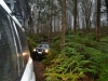 Tallarook State Forest