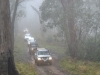 Tallarook State Forest