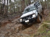 Tallarook State Forest