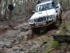 Tallarook State Forest