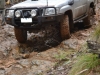 Tallarook State Forest