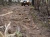 Tallarook State Forest
