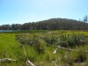 Lake Cobbler